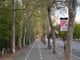 viale nichelino ripulito dai rifiuti