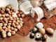 Coldiretti Piemonte: al via il nuovo progetto di filiera per valorizzare le nocciole Piemonte Igp