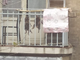 Nutrie appese su un balcone in Lungo Dora