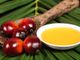 “Olio di palma? Le nostre aziende sempre pronte a trovare soluzioni alternative”