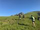 A Lanzo domenica è tempo di Trail del Diavolo