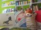 Collegno, inaugurata “Pan di zenzero”, libreria didattica per bambini