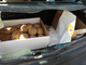 Sorpreso con l'auto carica di pane mal conservato: finisce nei guai insieme al fornaio abusivo