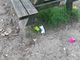Coronavirus, incivili in azione al parco del Boschetto appena riaperto a Nichelino