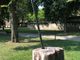 Parco della Tesoriera, dal degrado nasce una &quot;scultura&quot;