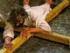Ivrea, tutto pronto per la Sacra Rappresentazione della Passione di Cristo