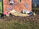 Foto: Comitato Torino Bcps