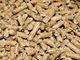 Stufe a pellet: i vantaggi del riscaldamento ecologico