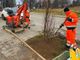 Beinasco sempre più verde: via alla piantumazione di 100 nuovi alberi