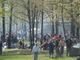 Barbecue e pic nic abusivi, decine di controlli nei parchi di Torino