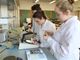 Imparare facendo, il Pininfarina di Moncalieri taglia le distanze tra scuola e lavoro, in alleanza con imprese e Politecnico [FOTO e VIDEO]