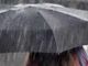 Lo stato dell’ambiente in Piemonte fra cambiamento climatico, resilienza e politiche per la sostenibilità