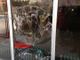 Raid vandalico alla Colletta, emergono nuovi dettagli sulla vicenda
