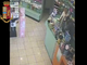 Rapina alla farmacia Dutto di corso Giulio, arrestato il rapinatore (VIDEO)