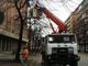 Interventi di cura del verde: potature in corso Dante e corso Umbria