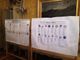 Torino al voto: ecco tutti i numeri per le elezioni Europee, Regionali e in 209 Comuni