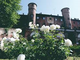 Rose al Castello e la rosa Principessa Maria Letizia al Castello di Moncalieri