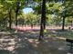 Parco Ruffini, i nuovi campi da sport sono pronti: a settembre l'inaugurazione