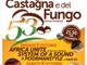 Fervono i preparativi per la Sagra del fungo e della castagna giunta ormai alla 53a edizione