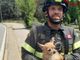 Pellerina, un Chihuahua cade nella Dora: i vigili del fuoco lo portano in salvo