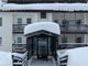 neve alberi e montagne