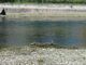 Con ePOsistema, in 15 mesi raccolti oltre 130 chili di rifiuti dal fiume di Torino