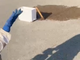 La natura si prende la zona industriale di Orbassano: maxi sciame d'api catturato davanti all'Av El [VIDEO]