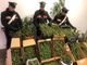 Rueglio, carabinieri scoprono un laboratorio per la produzione marijuana: 42enne in manette Rueglio, carabinieri scoprono un laboratorio per la produzione marijuana: 42enne in manette