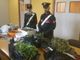 “Droga express” intercettato dai carabinieri: trasportava 8 kg di marijuana