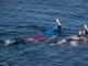 Quarantatreenne di Sciolze muore in Sicilia mentre fa snorkeling
