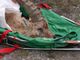Asl To3-Aree protette Alpi Cozie: sottoscritta la convenzione operativa per la gestione delle popolazioni animali