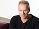 sting sting