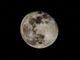 Questa notte anche a Torino l’ultima &quot;Superluna&quot; del 2019, occhi all’insù