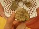 Lasciati coccolare al ristorante la Piola assaporando il pregiato tartufo d'Alba