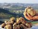 A Torino dal 27 al 30 ottobre arriva BUONISSIMA, che intreccia gastronomia, cultura e creatività