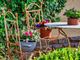 Tavolo da giardino: quale scegliere?