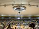 tifosi basket torino