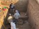 Una spedizione archeologica Unito in Iraq alla scoperta dei tesori di Seleucia [FOTO E INTERVISTA]