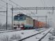 Ferrovie italiane predispongono piani neve e gelo per la giornata del 1° febbraio
