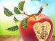 Ultimo Week End di Tuttomele™ a “Cavour il cuore delle mele”