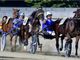 Gentlemen in pista oggi all'ippodromo di Vinovo