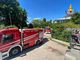 incendio canile trofarello