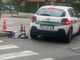 Capriolo morto in corso Belgio dopo l'investimento