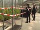 Coltivava marijuana biologica in mezzo alle piante: arrestato vivaista di Rivoli [VIDEO]