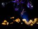 Si scaldano i motori per &quot;Water of Love&quot;, l'edizione 2023 di Mirabilia International Circus &amp; Performing Arts Festival
