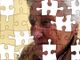 Ad Avigliana e Sant'Ambrogio due eventi di sensibilizzazione sull'Alzheimer