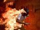 Torino e le migliori foto del mondo: apre World Press Photo