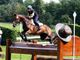 SPECIALE RIO - Equitazione: Arianna Schivo chiude in 34ª posizione