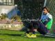 Mattia Perin, oggi toccherà a lui difendere la porta bianconera