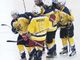 HC Torino Bulls: tutto pronto per l'esordio in serie A